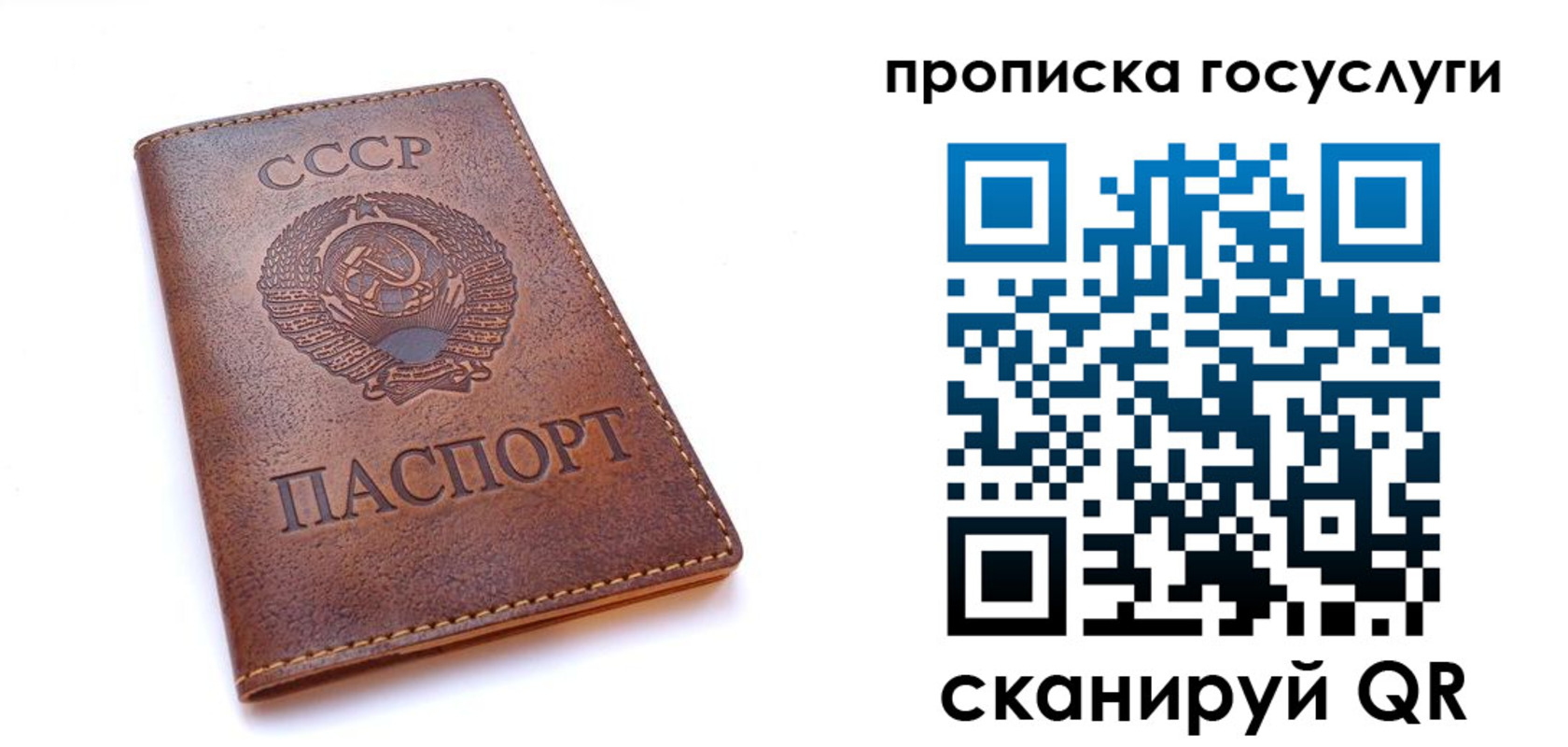 прописка в Рубцовске